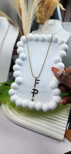 Titanium Duet Drop Necklace