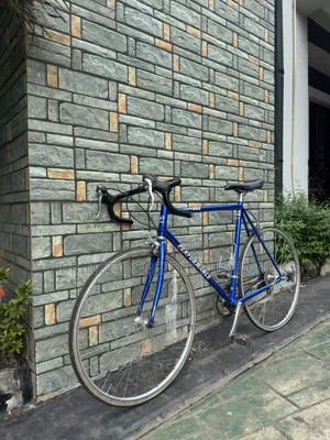 Road Bicycle Size 25