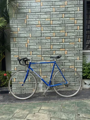 Road Bicycle Size 25