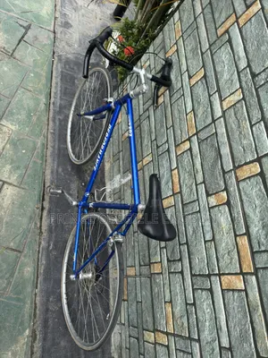 Road Bicycle Size 25