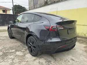Tesla Model Y 2024 Gray