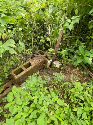 2 Acres of Land at Oui, Ile-Ife
