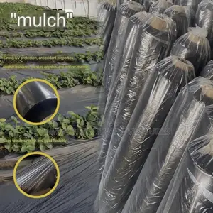 Plastic Mulch Film