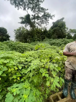 A Plot of Land Available at Parakin Estate Ile-Ife