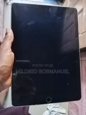 Apple iPad Air 2 16 GB Gray