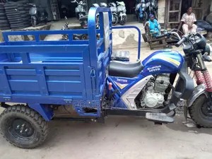 New Tricycle 2025 Blue