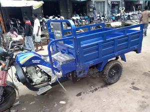 New Tricycle 2025 Blue