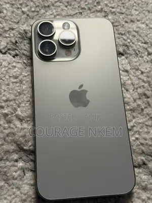 Apple iPhone 15 Pro Max 256 GB Gray