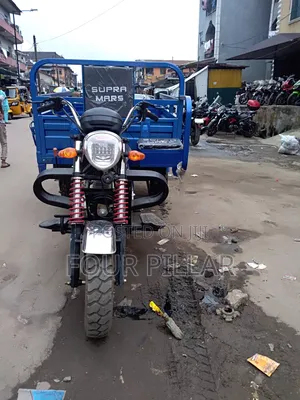 New Tricycle 2025 Blue