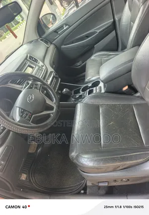 Hyundai Tucson 2013 Brown