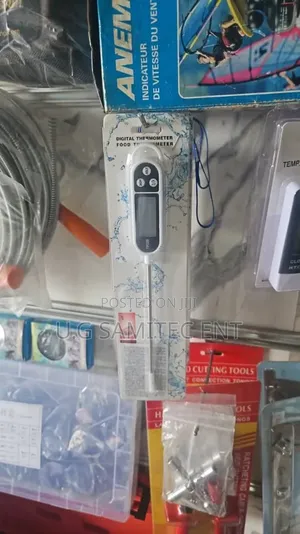 Digital Thermometer