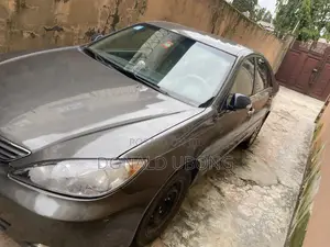 Toyota Camry 2002 Gray