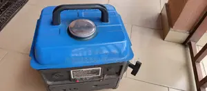 Small Tiger Genertor