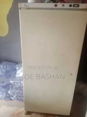 Jumbo Standing Fridge