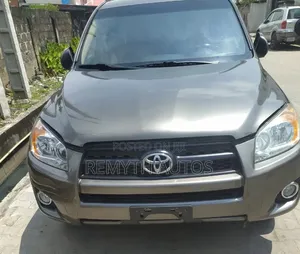 Toyota RAV4 2010 Brown