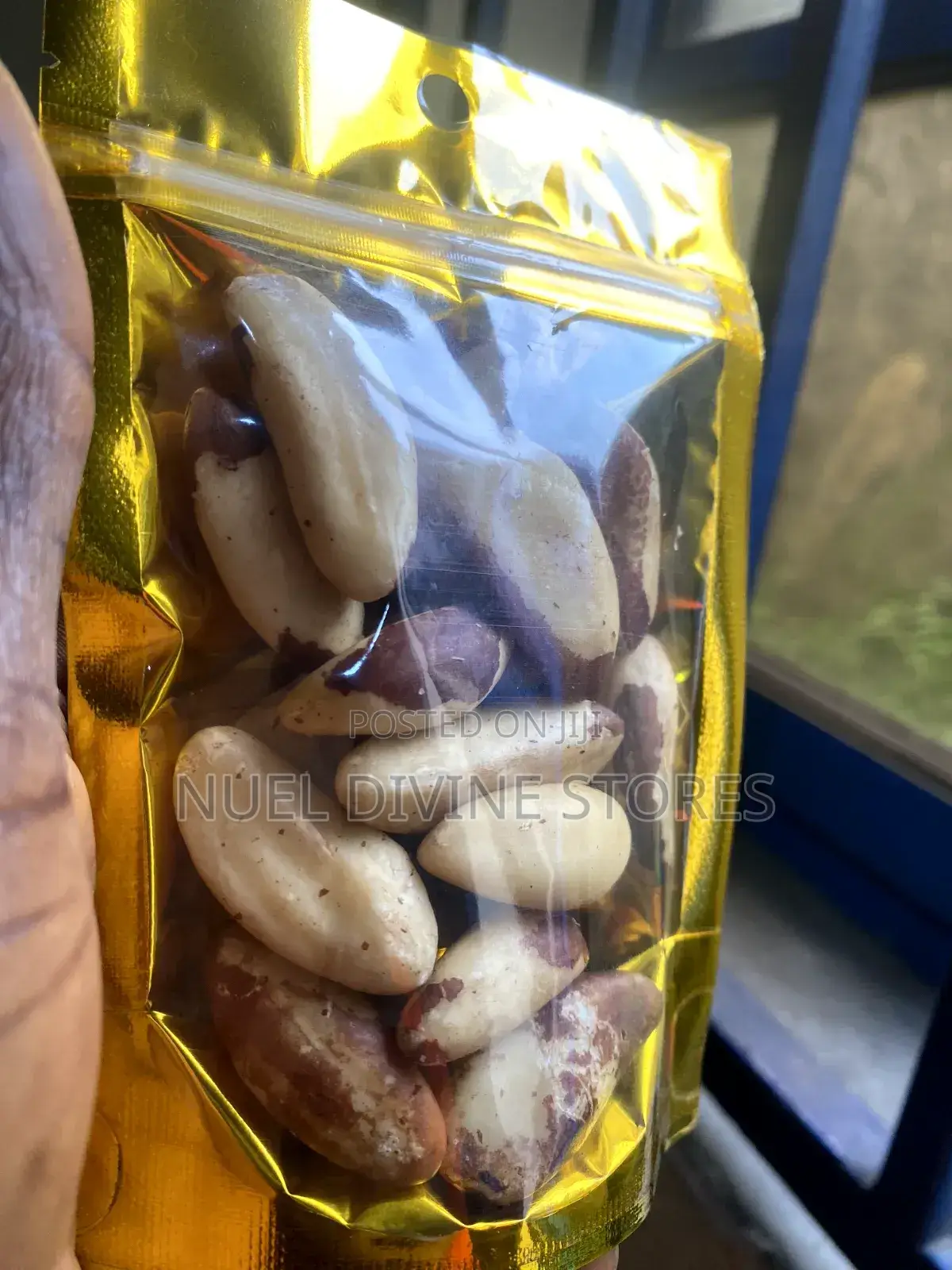 Brazil Nuts