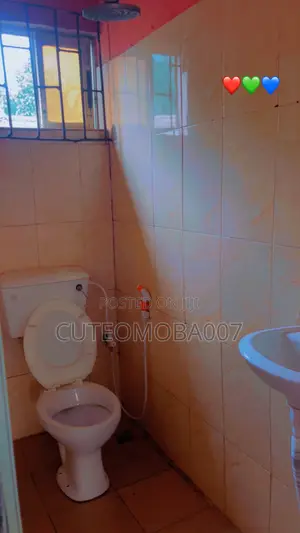 Mini Flat in Badek Axis, Ayobo for rent