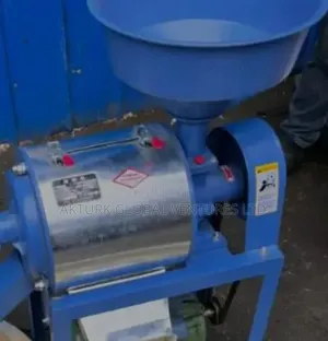 Maize Peeling and Grinding Machine