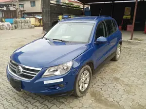 Volkswagen Tiguan 2011 Blue