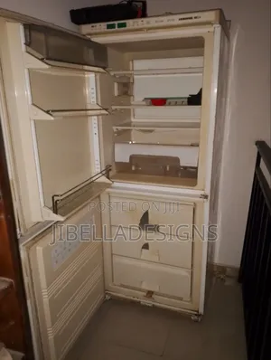 Liebherr Standing Fridge/Freezer