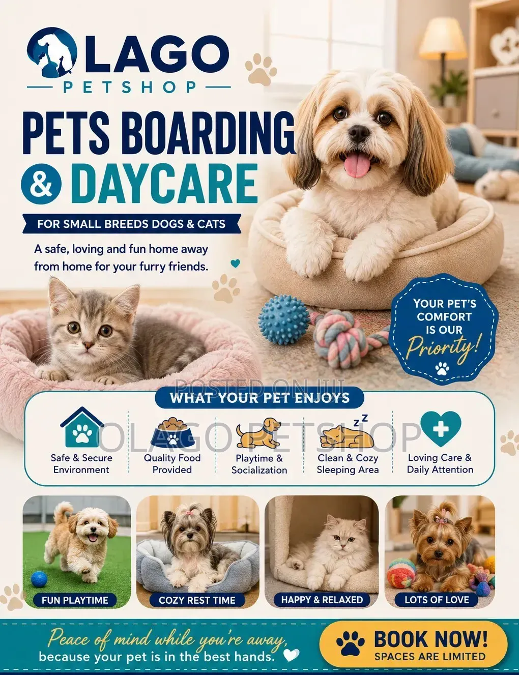 Pet Boarding Daycare