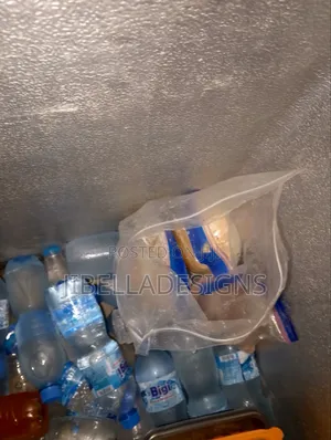 Privilege Chest Freezer