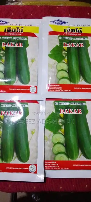 Dakar 50g Cucumber