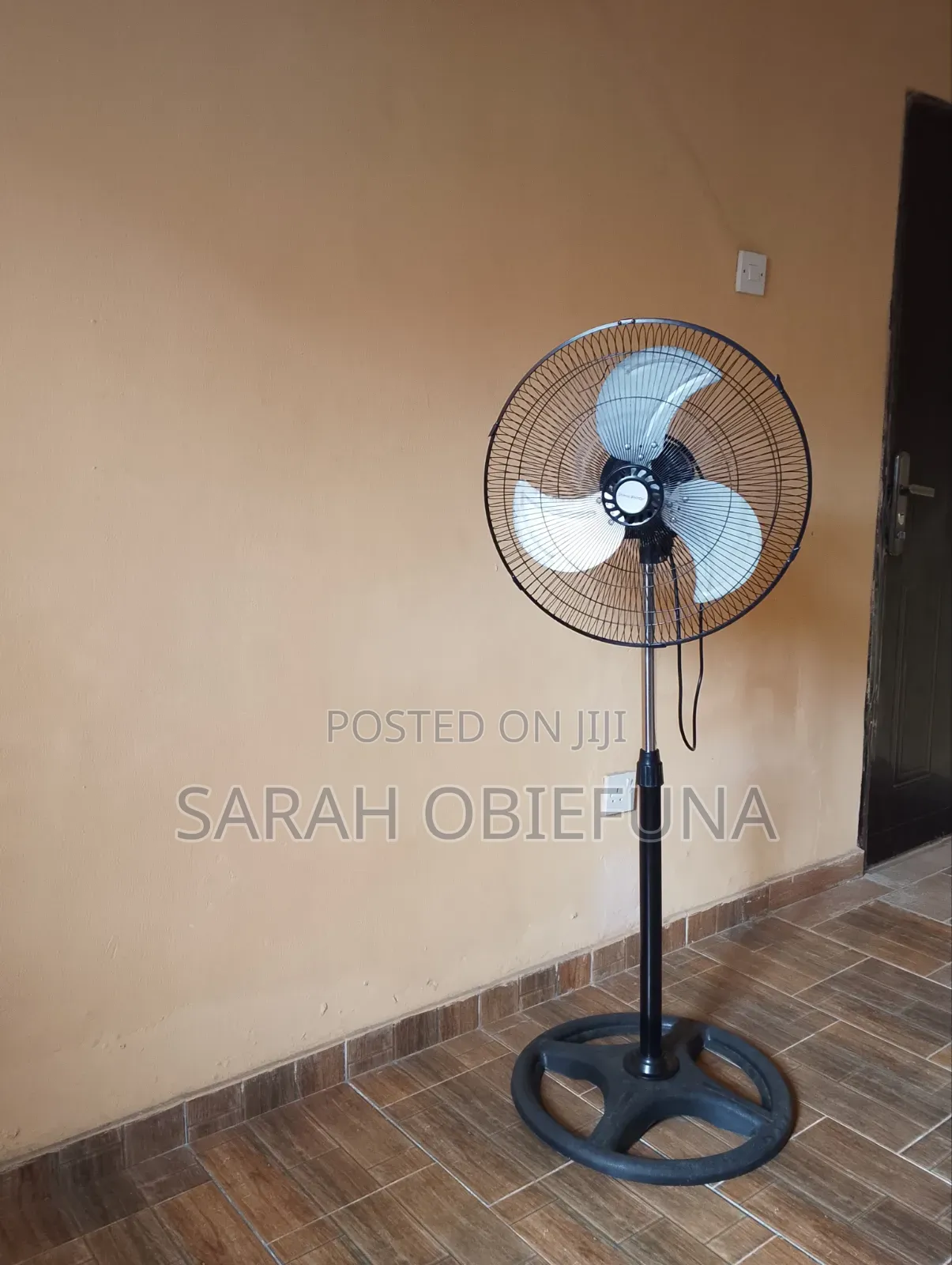 Standing Fan