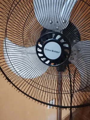 Standing Fan