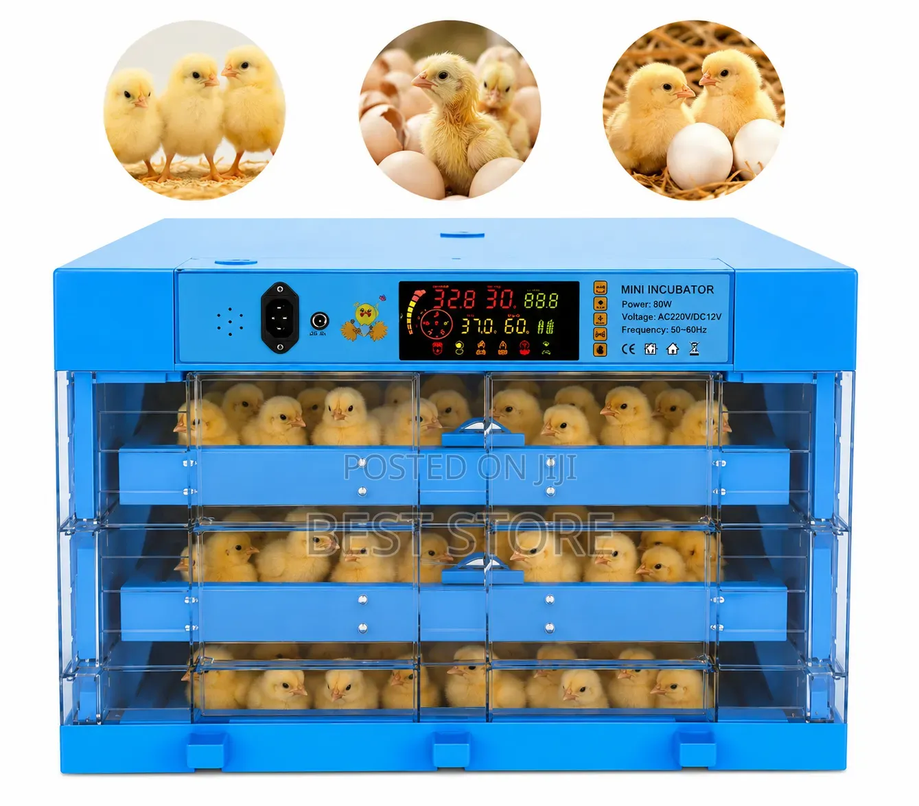 192 Egg Incubator Hatching