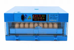 64 Eggs Incubator Hatching AC/Dc