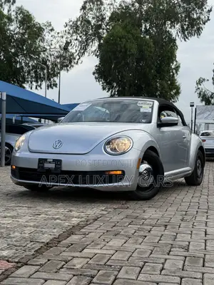 Volkswagen Beetle 2015 Silver
