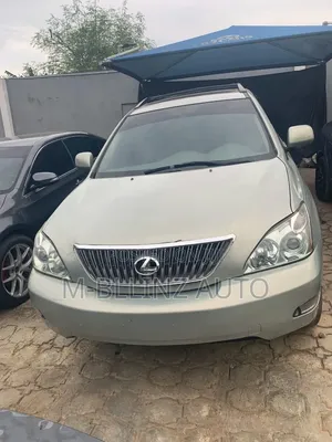 Lexus RX 2005 Gray