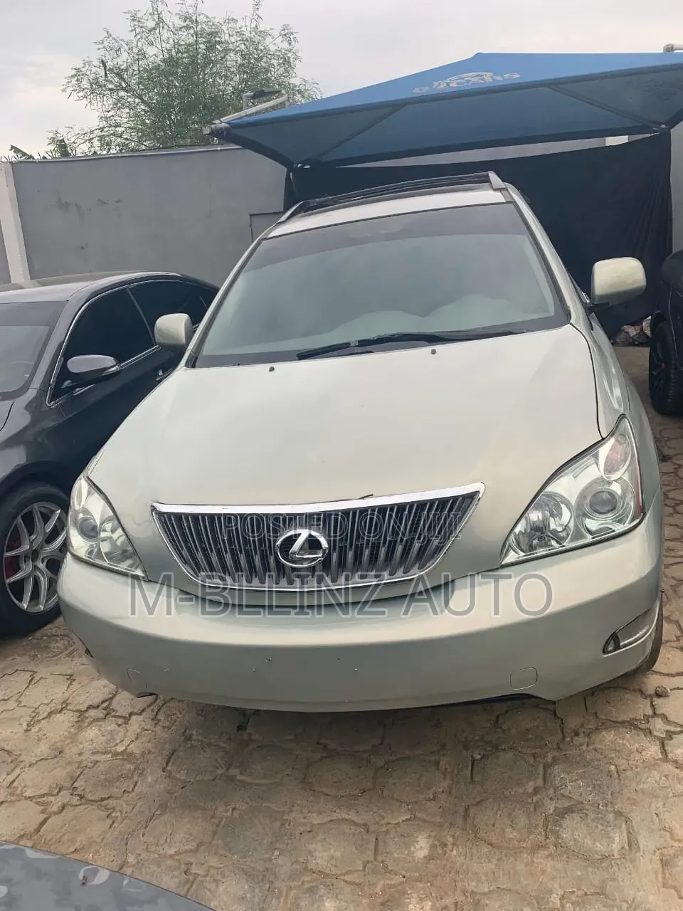 Lexus RX 2005 Gray