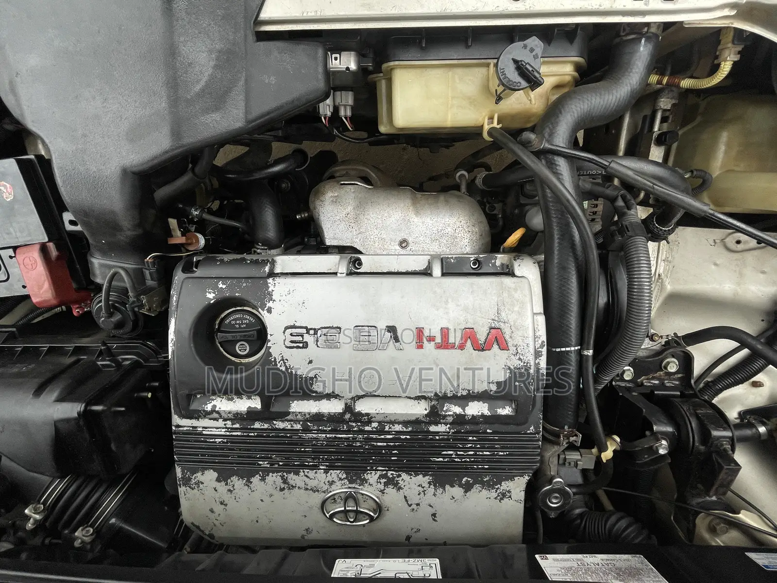 Toyota Sienna 2006 Gold