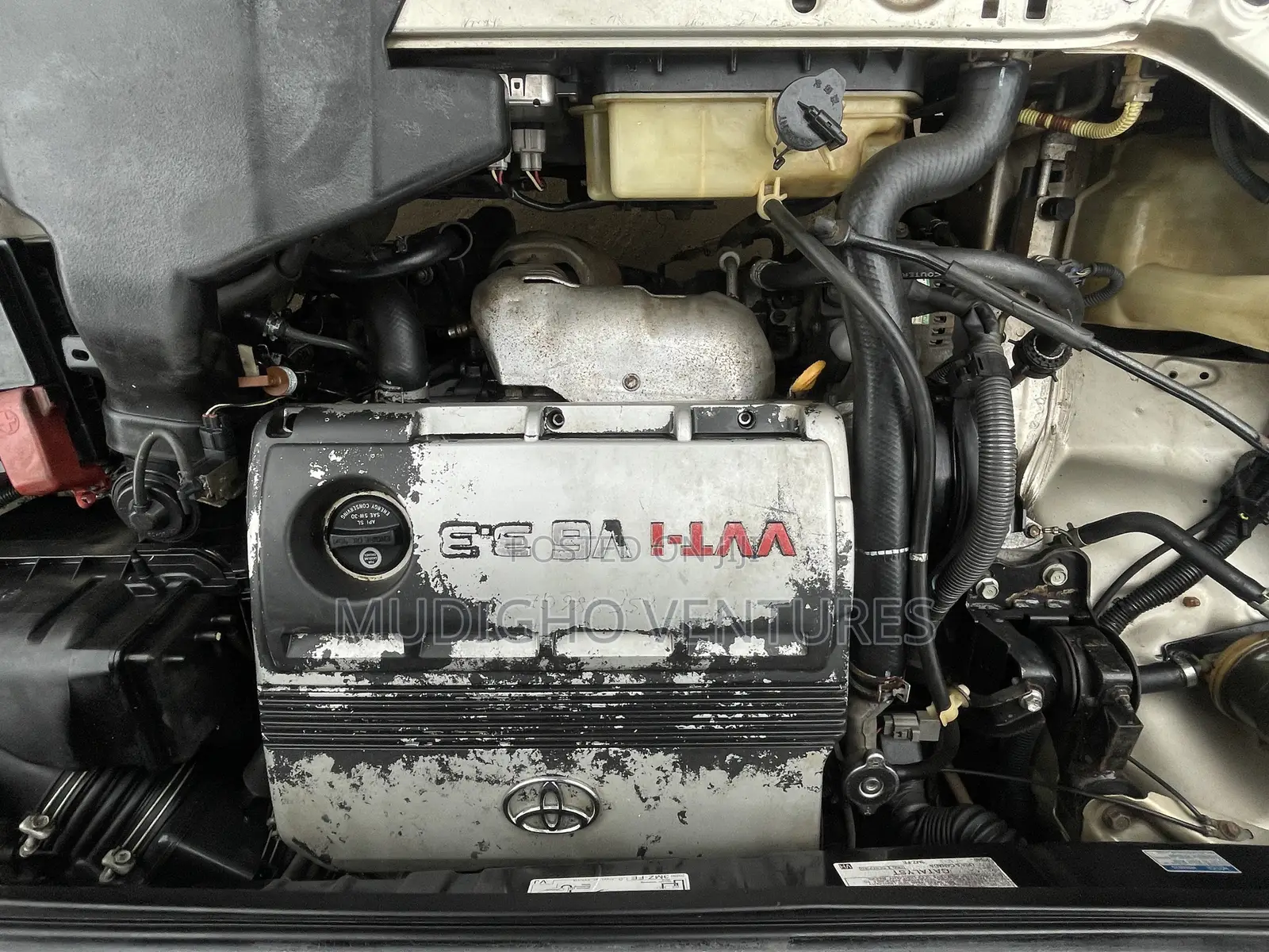 Toyota Sienna 2006 Gold