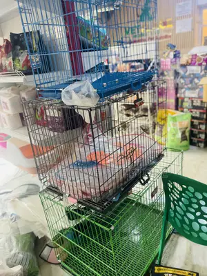 Strong Metel Collapsible Cage (Grade A)