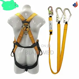 Full Body Harness