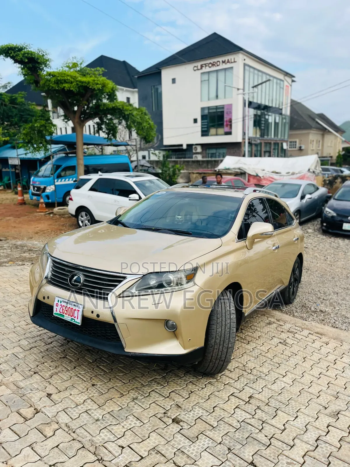 Lexus RX 2010 Yellow