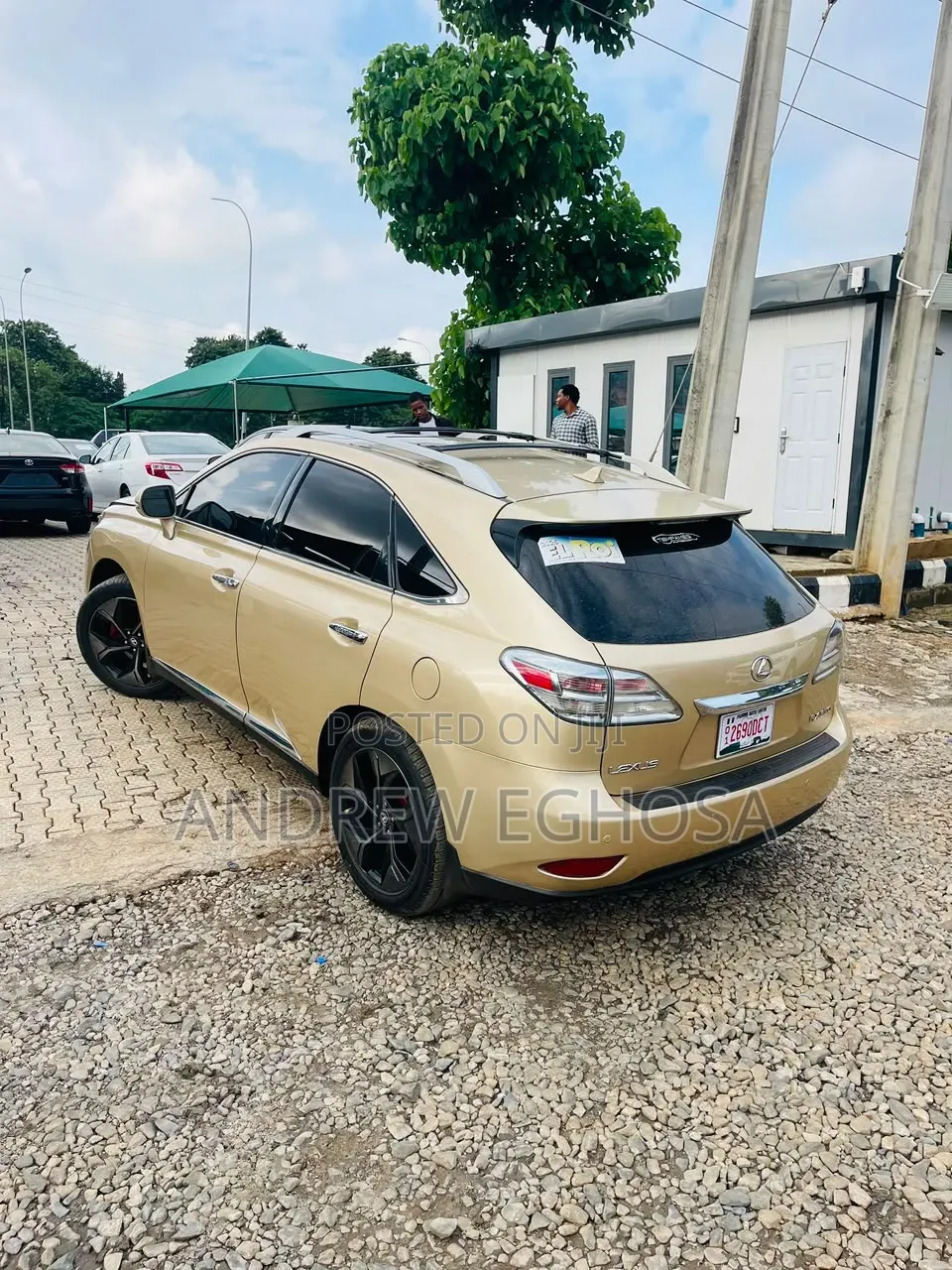 Lexus RX 2010 Yellow