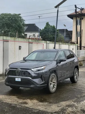 Toyota RAV4 2024 Gray