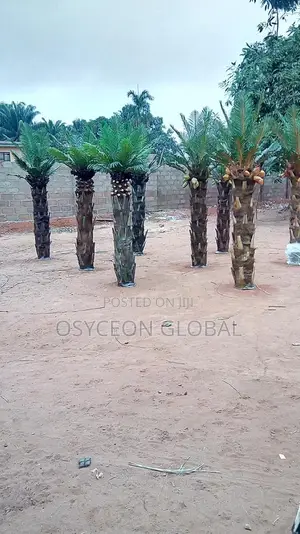 Artificial Trees