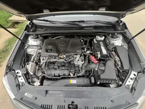 Toyota Camry LE (2.5L 4cyl 8A) 2019 Silver