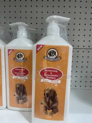 Saint Bernard
