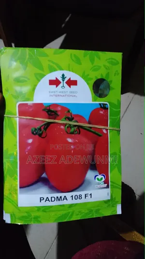 Padma Tomato