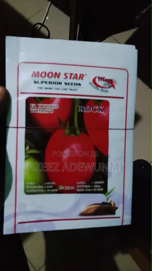 Moon Star Tom