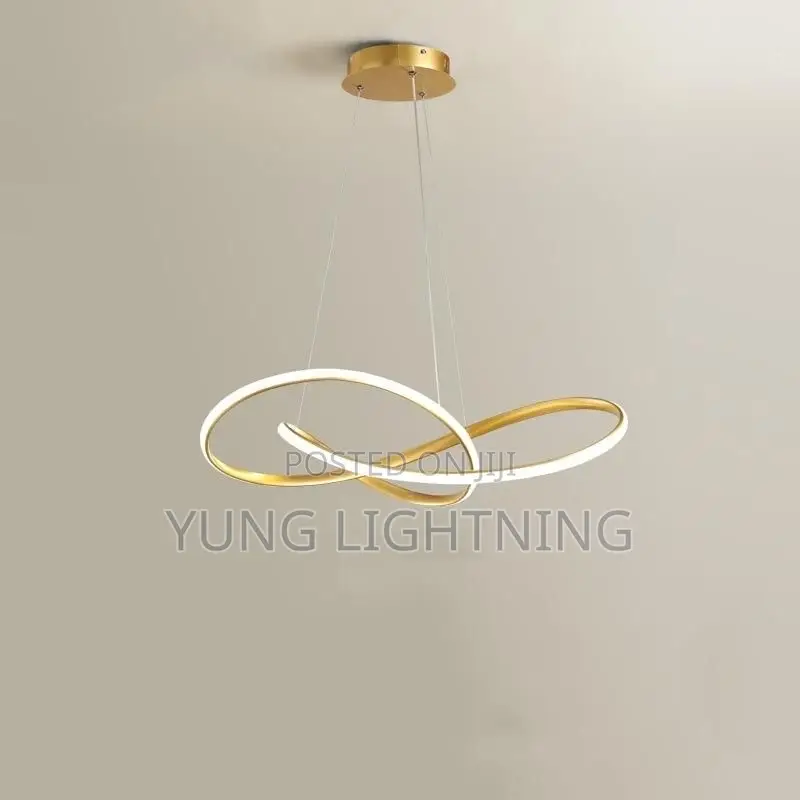 Modern Infinity LED Pendant Chandelier
