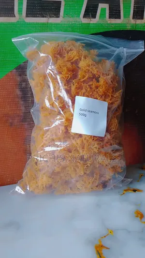 Gold Sea Moss 100g – Wildcrafted Gold Sea Moss for Natural Wellness