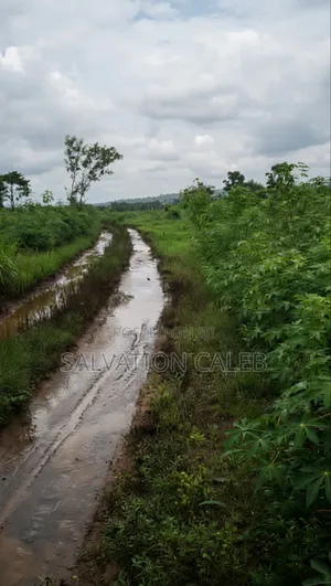 Premium Land for Sale in Mgbakwu, Awka North – Fix Hub Properties