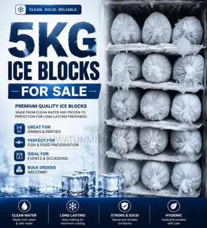 5kg Ice Blocks for Sale